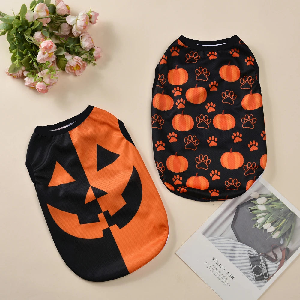 Votre toutou sera la star d'Halloween avec ce costume de citrouille trop mignon !