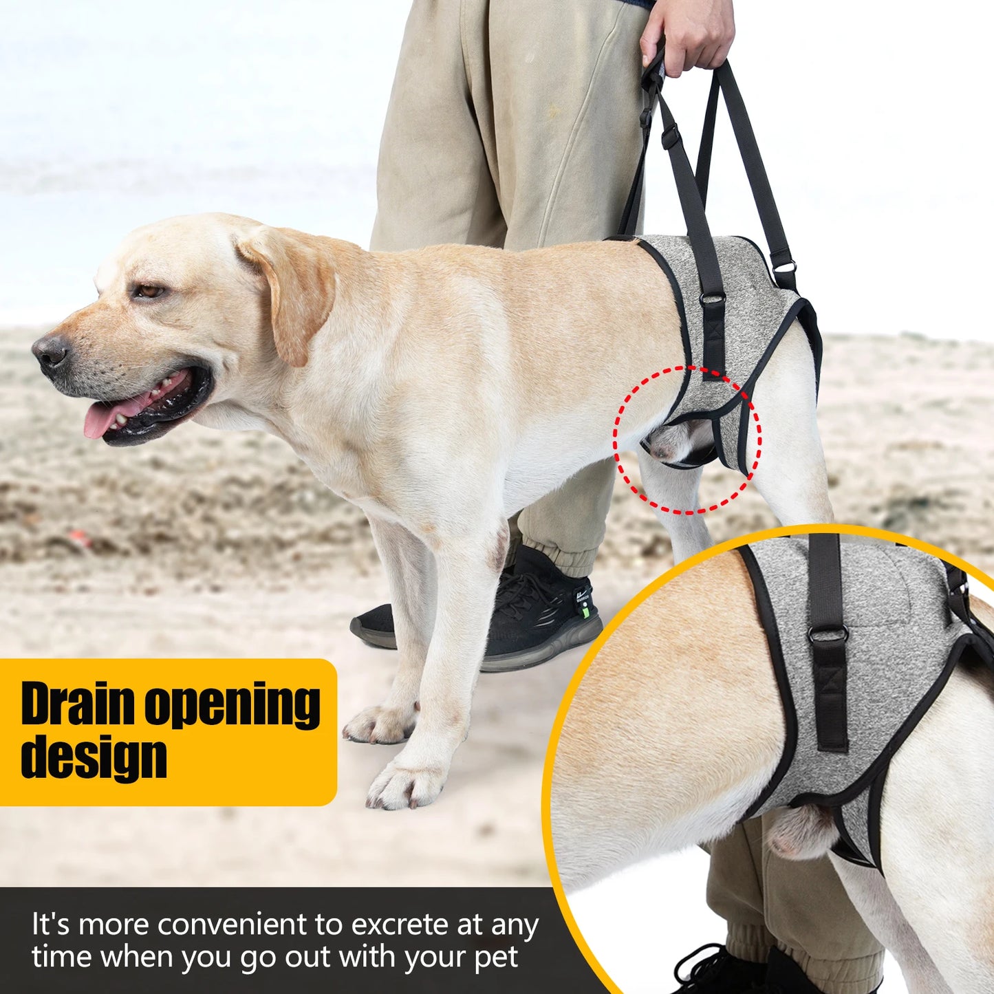 Dog Support Harness: A Helping Hand for Your Four-Legged Friends