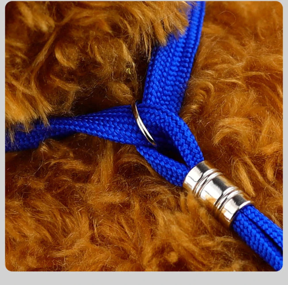 Grooming loops + safety leash: the winning duo. Easy and quick grooming!