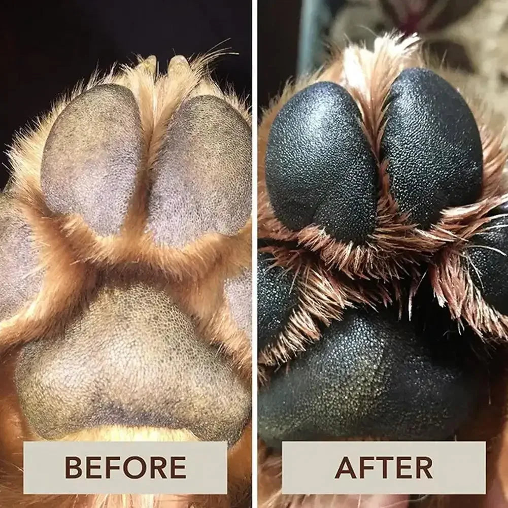 Baume réparateur pour pattes de chien : hydrate, protège et apaise.