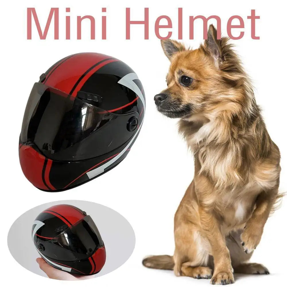 Casque de Moto Miniature pour Votre Compagnon à Quatre Pattes