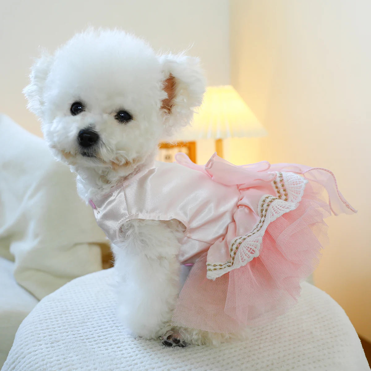 Jupe en tulle et nœud rose : l'élégance à la chienne