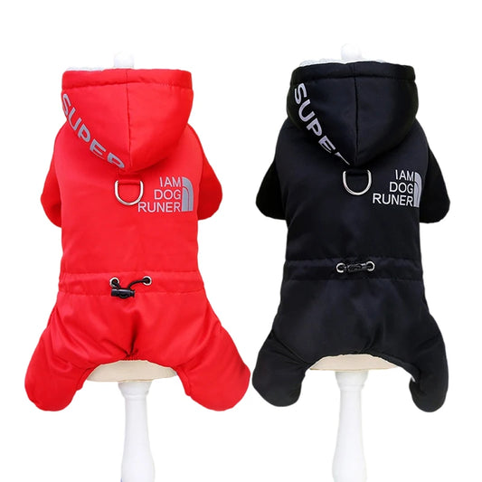 Veste imperméable pour chien : style et protection !