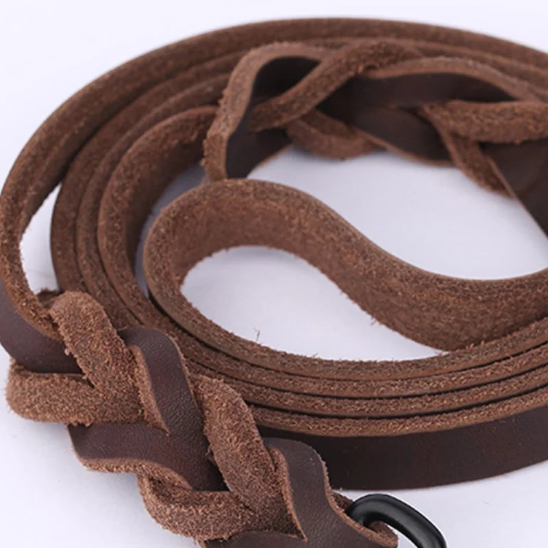 Premium Training Leash: For Confident Control