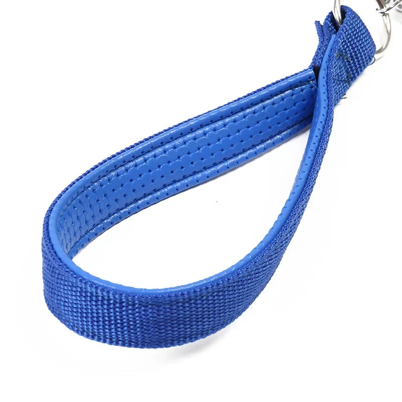 Heavy Duty Leash with Integrated Chain: Enhanced security for powerful dogs.