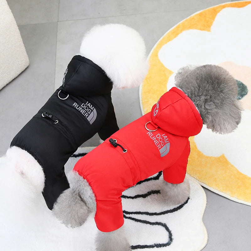 Veste imperméable pour chien : style et protection !