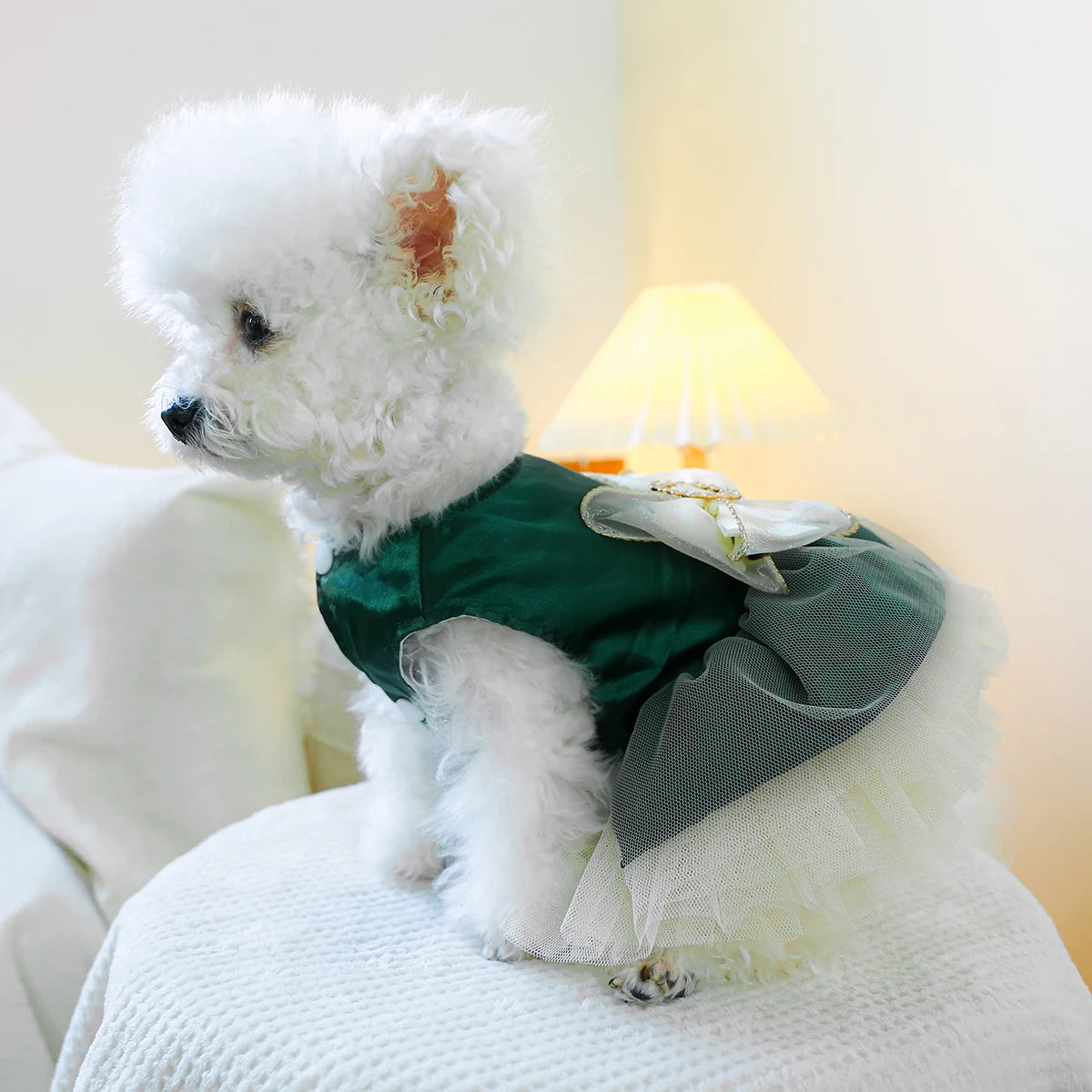 Robe de princesse verte : trop chou !