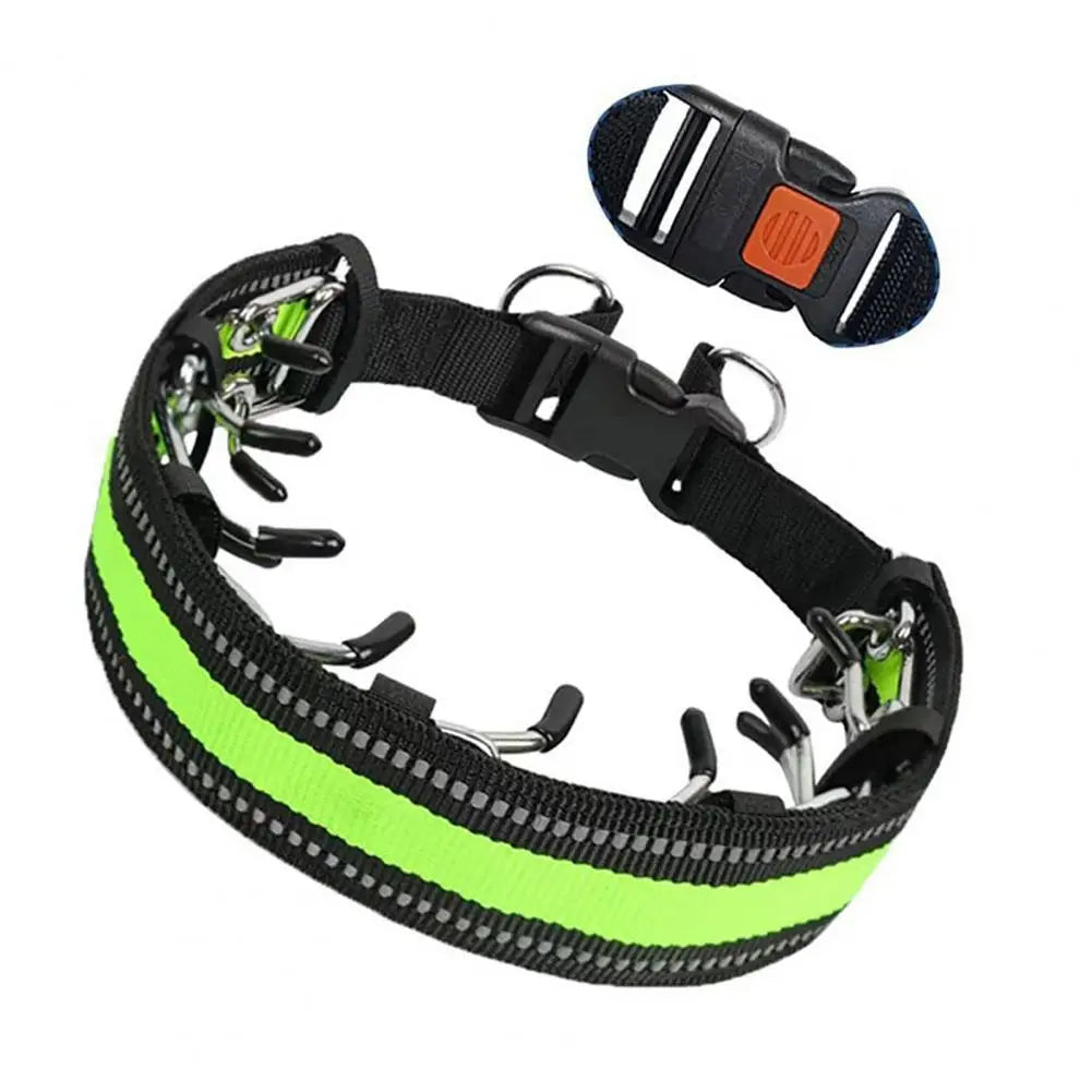 Gentle training: The metal collar that makes training your dog easier