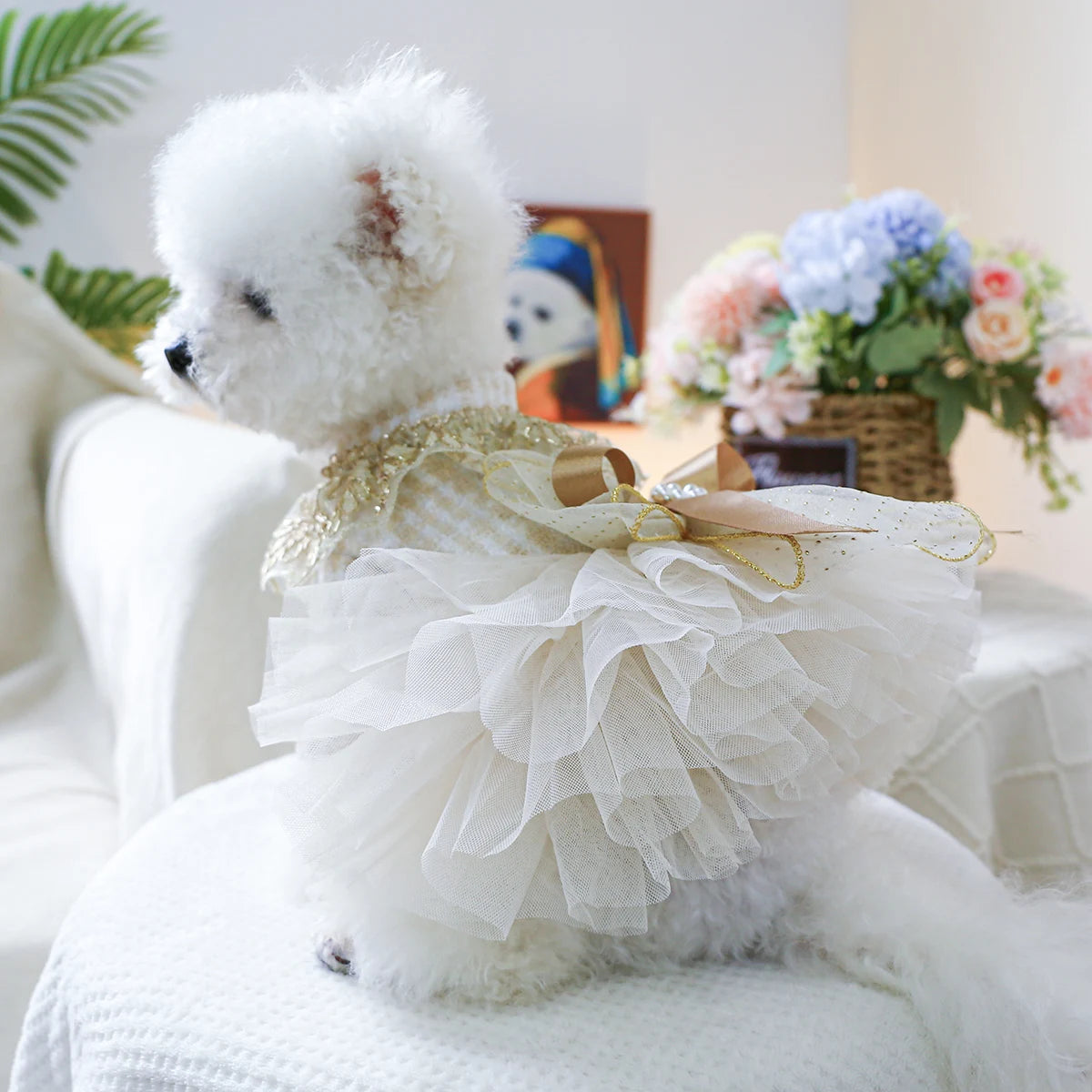 Robe de mariée pour chien : Pour les princesses les plus glamour !