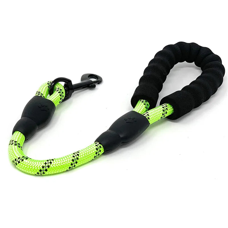 Luminous Leash: Night walks with complete peace of mind.