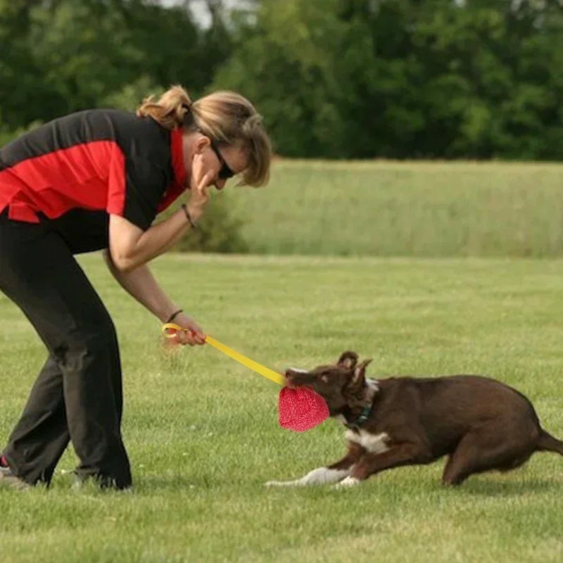 XXL Agility Ball: ¡El juguete perfecto para perros enérgicos!