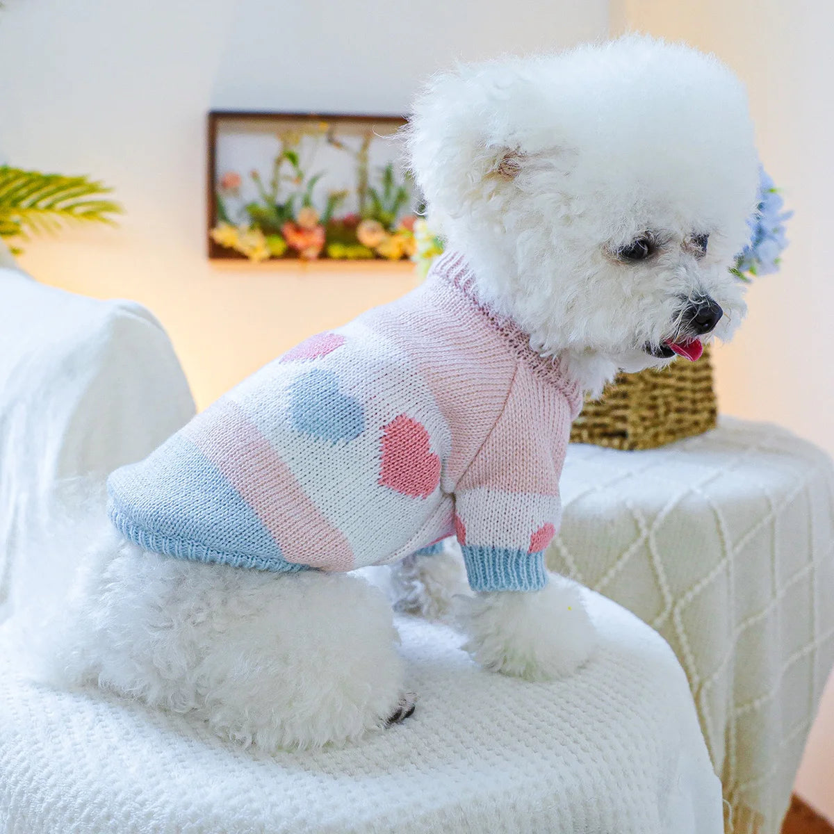 Sweat  "Love" pour chien : Confort et style pour toutes les saisons