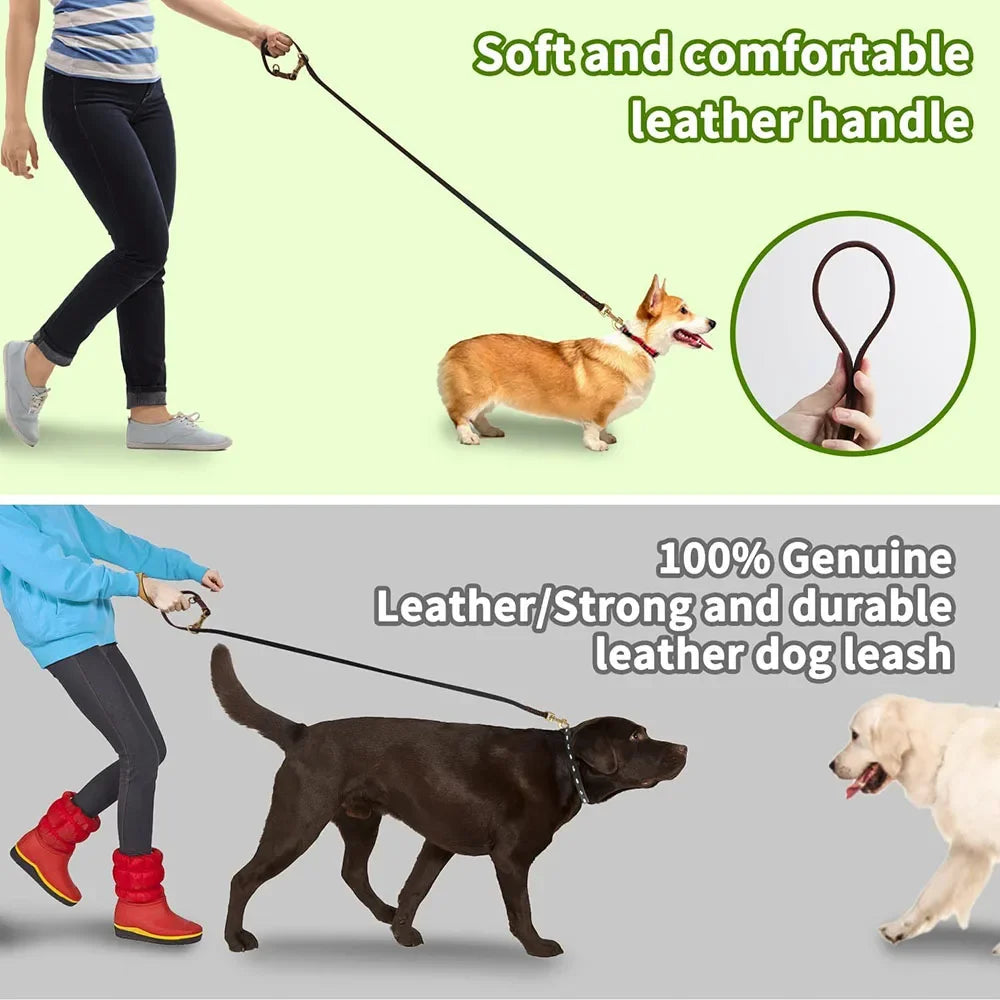 Multifunctional Leash: Adapt it to all your activities!