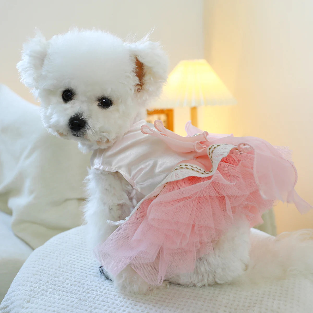 Jupe en tulle et nœud rose : l'élégance à la chienne