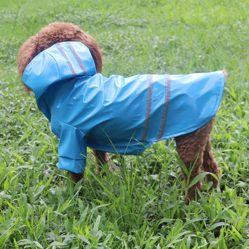 Manteau de Pluie attendu et Stylé pour Votre Toutou ️