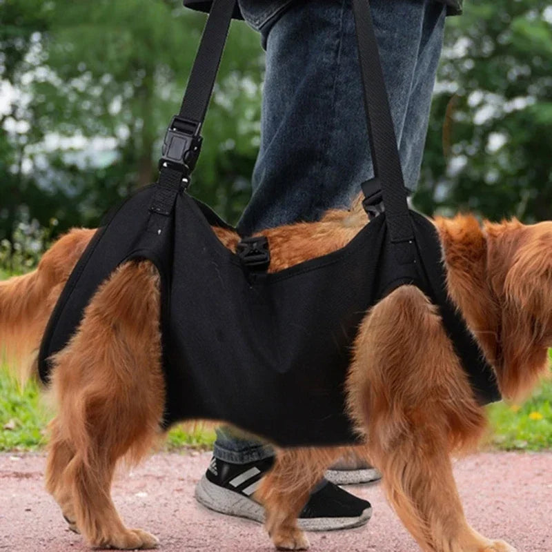 Dog Lift Harness: Relieve and Secure Your Walks