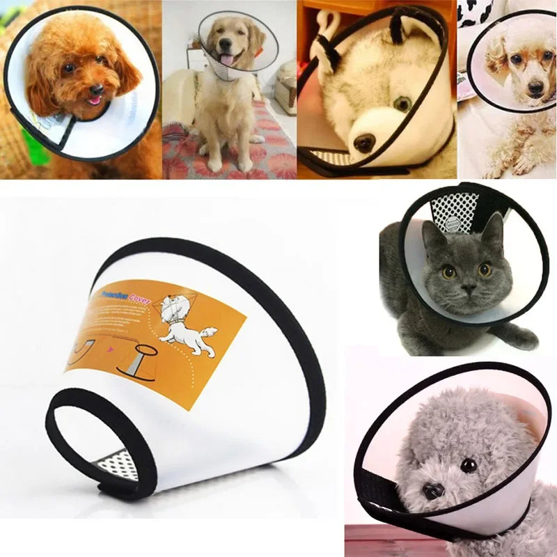 Collerette Transparente pour Chien et Chat : Protégez Votre Animal avec Style et Confort !