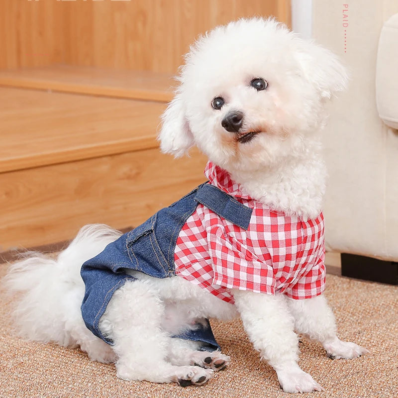 Combinaisons et sweats à capuche pour chiens : confort et style garantis !