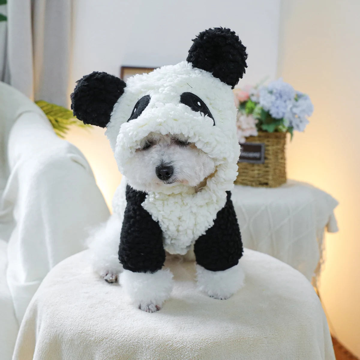 Veste panda pour petits et moyens chiens : idéale pour l'automne et l'hiver