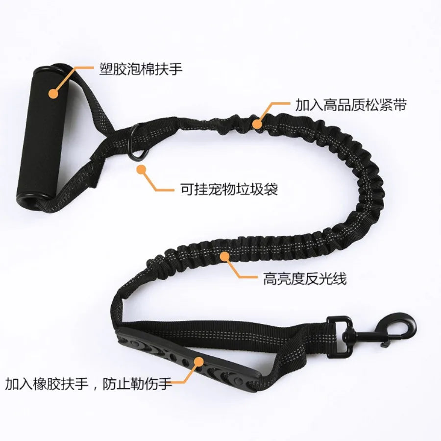 3m reflective dog leash, Maximum safety: Visible at night