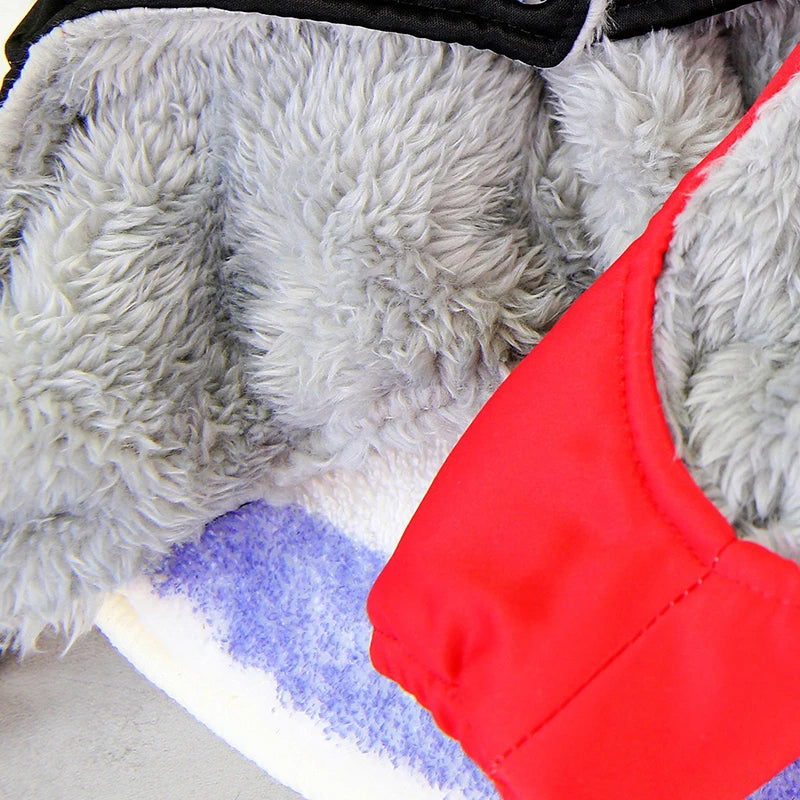 Veste imperméable pour chien : style et protection !