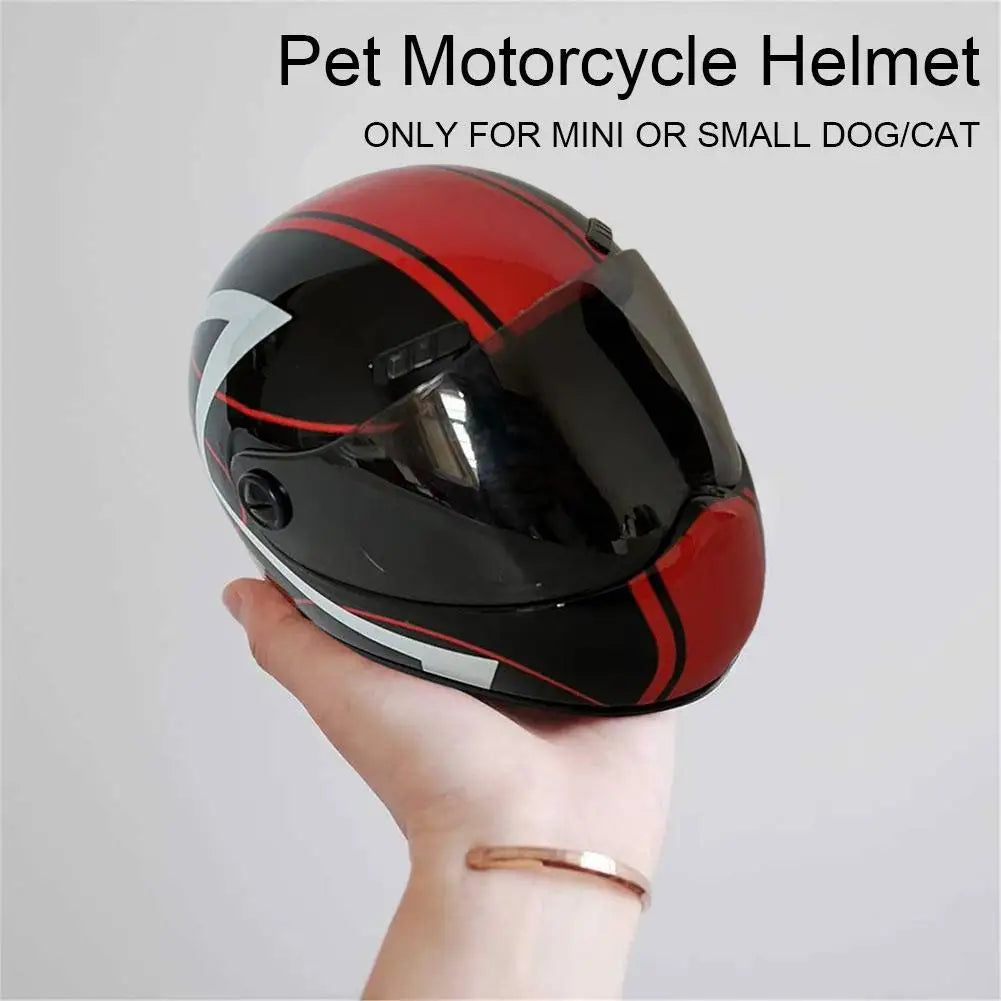 Casque de Moto Miniature pour Votre Compagnon à Quatre Pattes