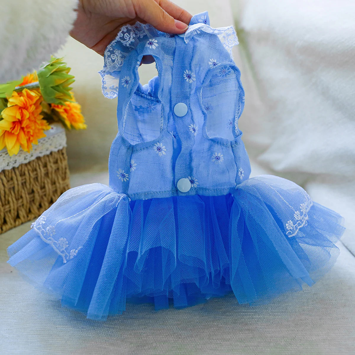 Robe de princesse pour petite et moyenne race : parfaite pour l'été !