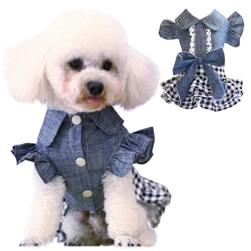 Robe de cow- girl pour chien : le must-have de l'été !