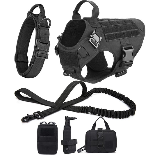 Military Harness and Leash: Perfect for forest walks and intensive training.