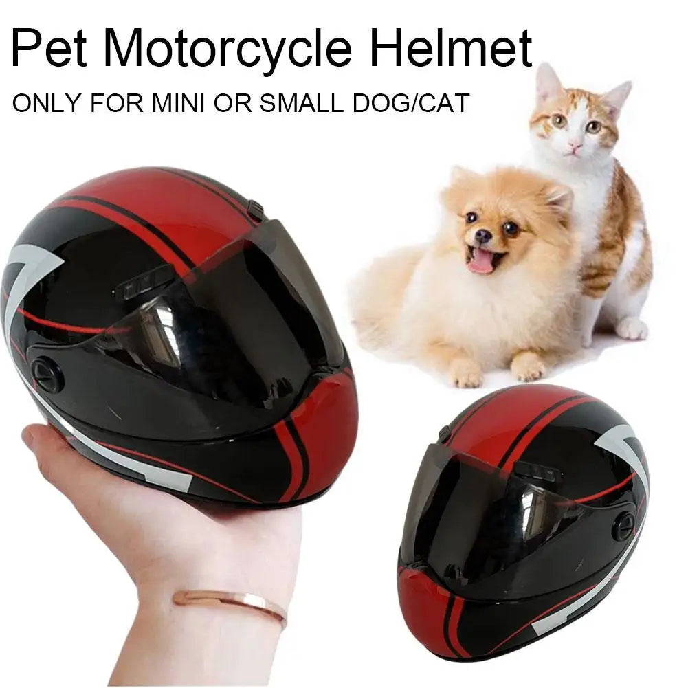 Casque de Moto Miniature pour Votre Compagnon à Quatre Pattes