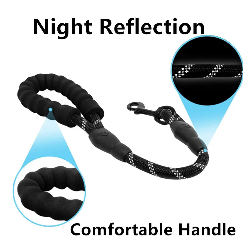 Luminous Leash: Night walks with complete peace of mind.