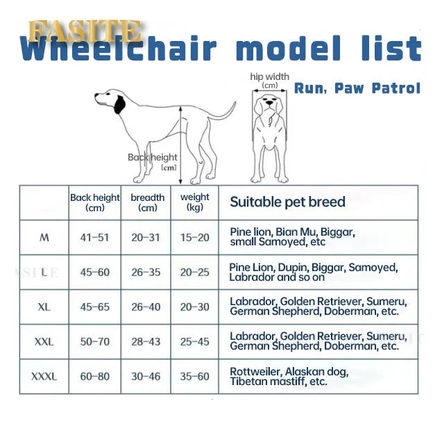 Fauteuil Roulant pour Chien : Redonnez de la Mobilité à Votre Compagnon