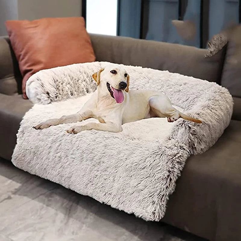 Orthopedic dog sofa bed: relieves joints