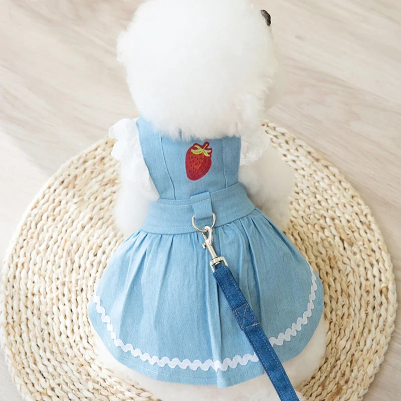 Votre petit compagnon sera une véritable princesse avec cette robe en jean