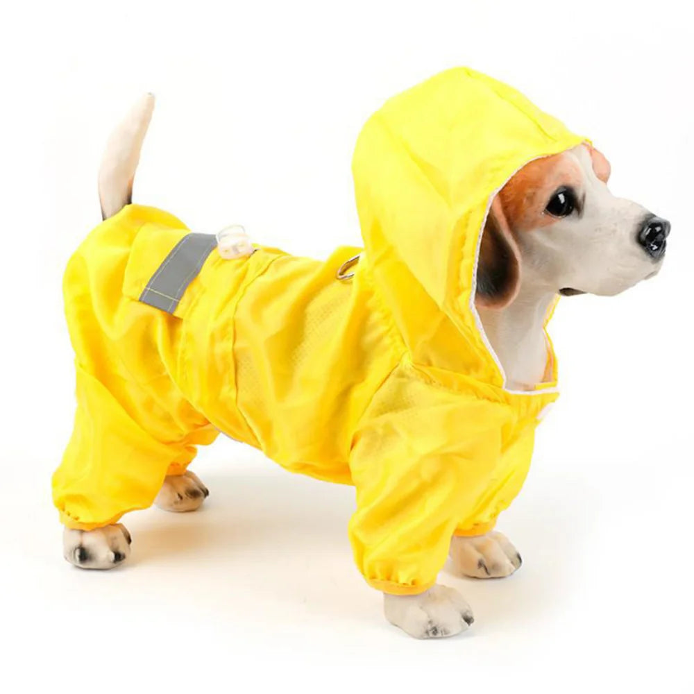 Manteau de Pluie Imperméable pour Chien : Protège Ton Compagnon des Intempéries !