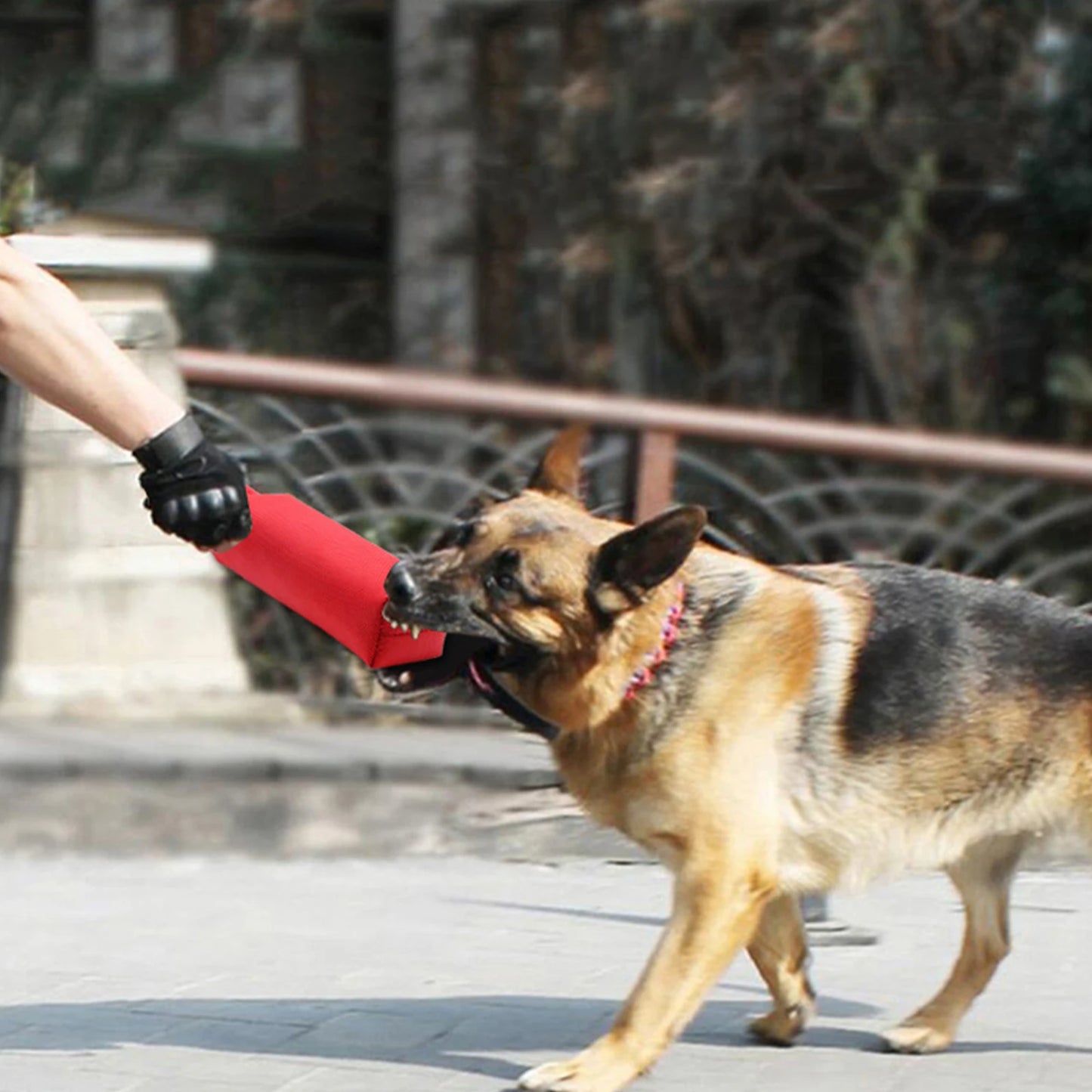 Waterproof Bite Toy: Perfect for indoor and outdoor play!