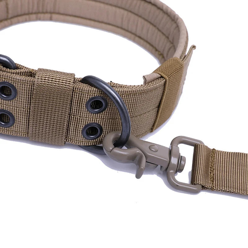 The perfect collar for night walks: maximum visibility and weather resistance.