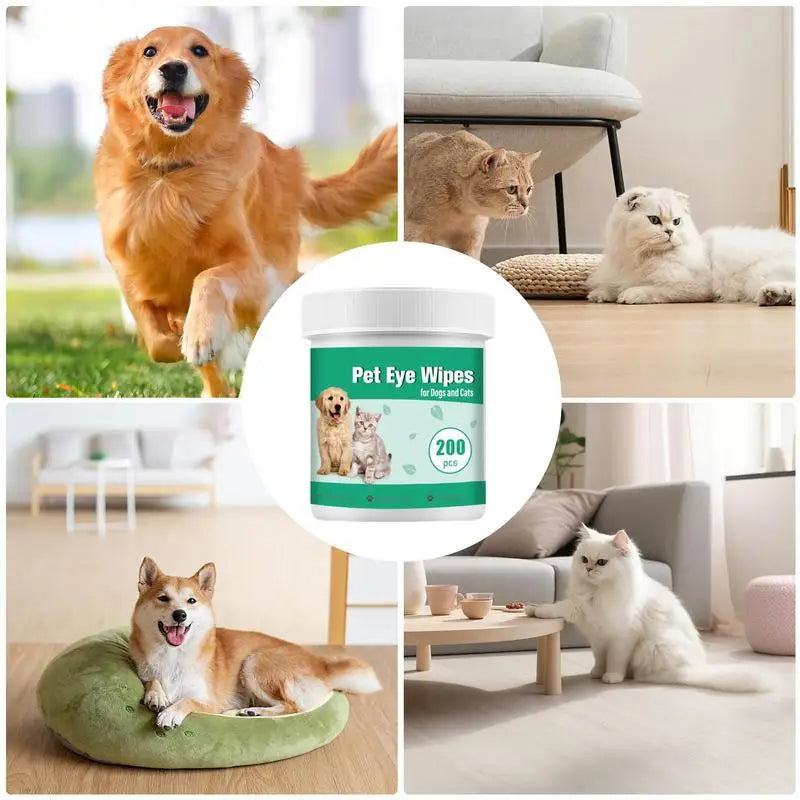 Eye Wipes for Dogs: Gentle and Effective Care