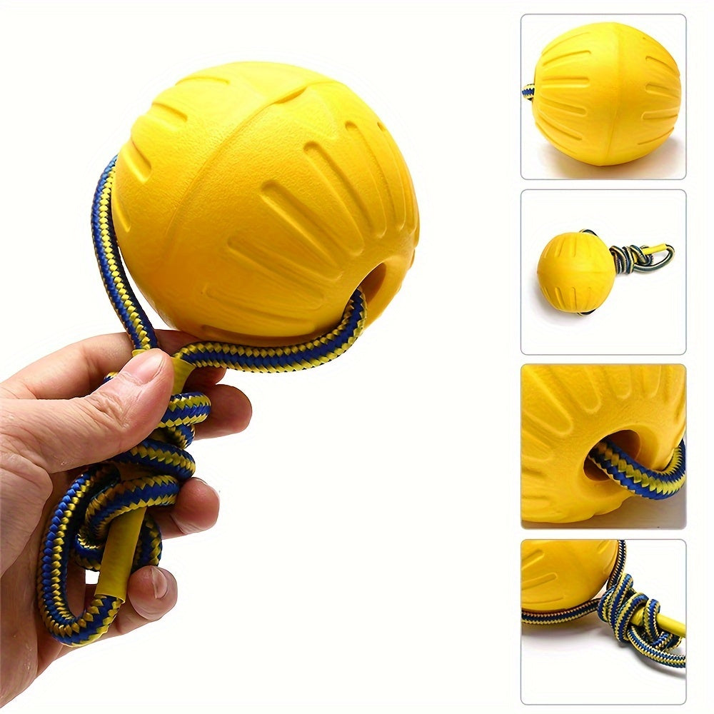 Dog rope ball: to strengthen the bond with your pet