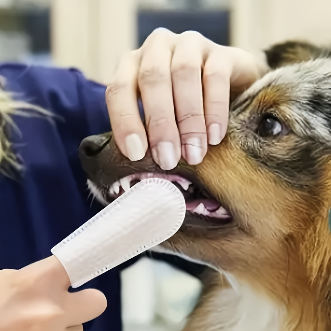 Pack de 50 toallitas limpiadoras para perros: Para unos oídos y dientes impecables